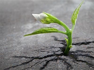 Не изхвърляме старите чорапи – даваме им нов живот