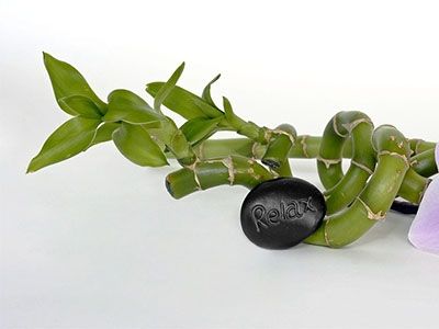 Чорапи от бамбук - модерно удобство