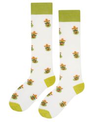 3/4 чорапи до коляното АВОКАДО в екрю