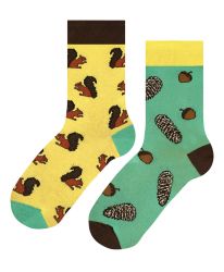 Различни чорапи "Катерички и жълъди" - Забавни и цветни!